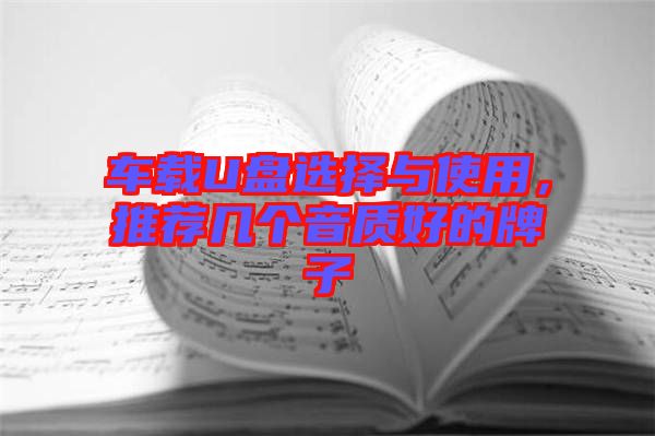 車(chē)載U盤(pán)選擇與使用，推薦幾個(gè)音質(zhì)好的牌子
