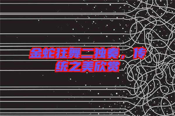金蛇狂舞二獨(dú)奏，傳統(tǒng)之美欣賞