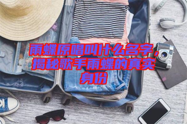 雨蝶原唱叫什么名字，揭秘歌手雨蝶的真實(shí)身份