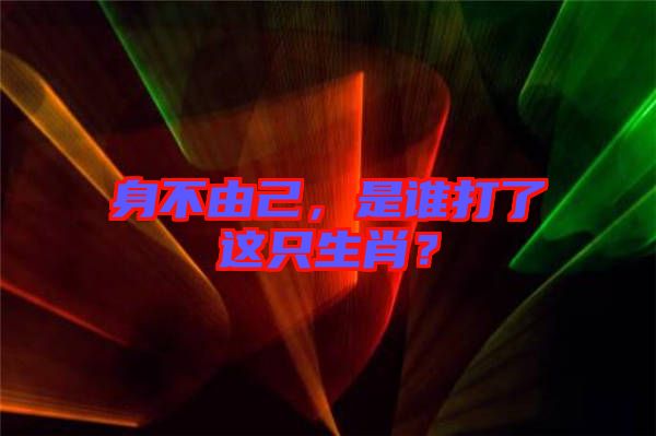 身不由己，是誰打了這只生肖？