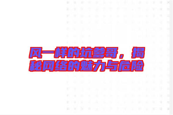 風(fēng)一樣的坑爹哥，揭秘網(wǎng)絡(luò)的魅力與危險