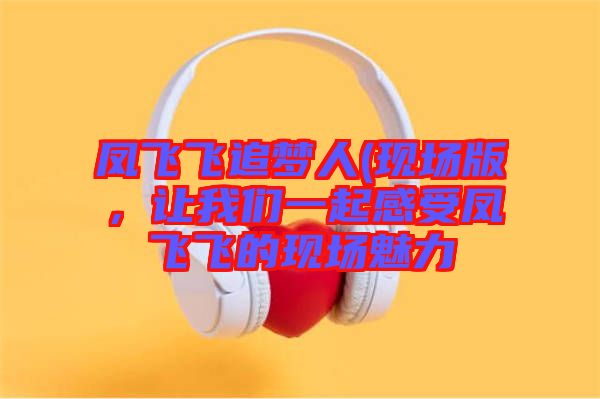鳳飛飛追夢人(現(xiàn)場版，讓我們一起感受鳳飛飛的現(xiàn)場魅力
