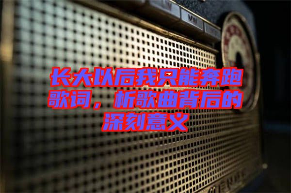 長(zhǎng)大以后我只能奔跑歌詞，析歌曲背后的深刻意義