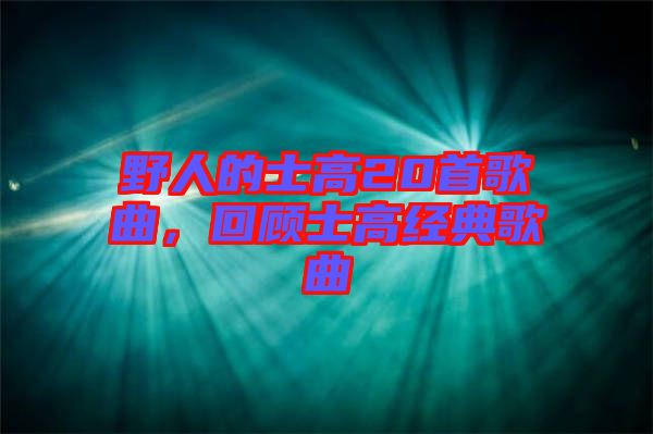 野人的士高20首歌曲，回顧士高經(jīng)典歌曲