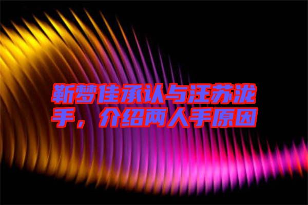 靳夢(mèng)佳承認(rèn)與汪蘇瀧手，介紹兩人手原因