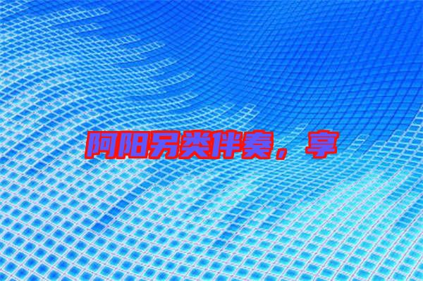 阿陽另類伴奏，享