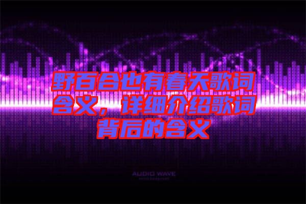 野百合也有春天歌詞含義，詳細(xì)介紹歌詞背后的含義