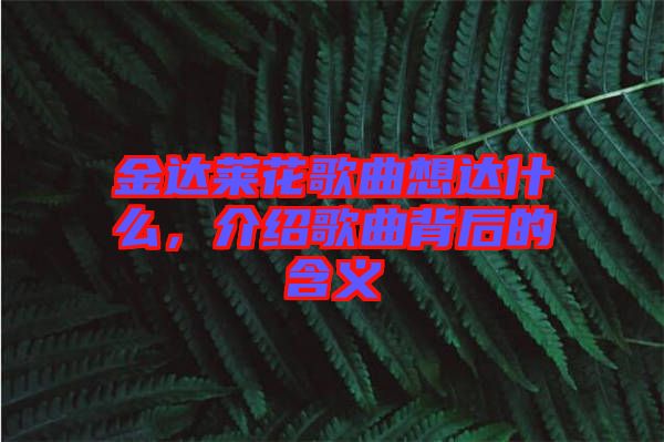 金達萊花歌曲想達什么，介紹歌曲背后的含義