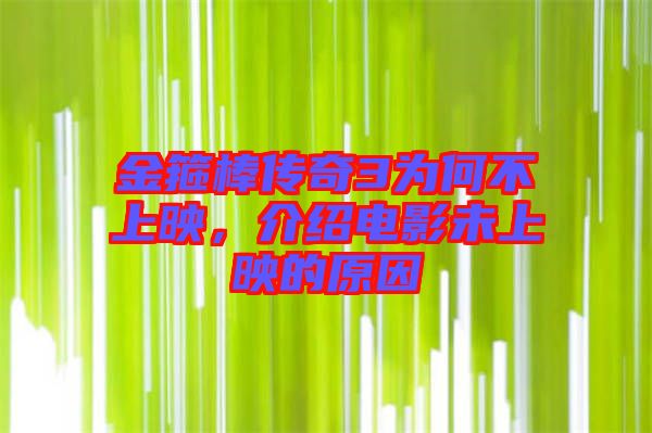 金箍棒傳奇3為何不上映，介紹電影未上映的原因
